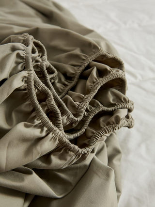 AVA.Home 起毛コットンフランネル ボックスシーツ 綿100% 抗菌防臭 シングル・セミダブル・ダブル