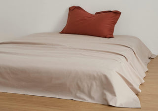 AVA.Home 起毛コットンフランネル フラットシーツ 綿100% 100番手極細綿 抗菌防臭 ダニ防止