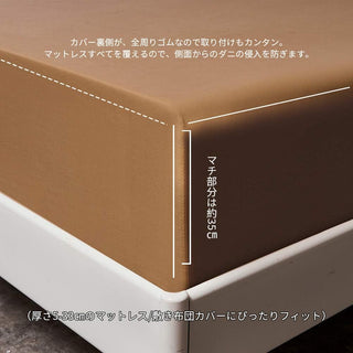 AVA.Home ホテル仕様 ボックスシーツ マチ35cm 綿100% 防ダニ 抗菌防臭 全周ゴム付き