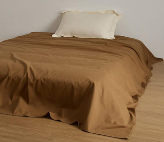 AVA.Home 起毛コットンフランネル フラットシーツ 綿100% 100番手極細綿 抗菌防臭 ダニ防止