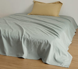 AVA.Home 起毛コットンフランネル フラットシーツ 綿100% 100番手極細綿 抗菌防臭 ダニ防止