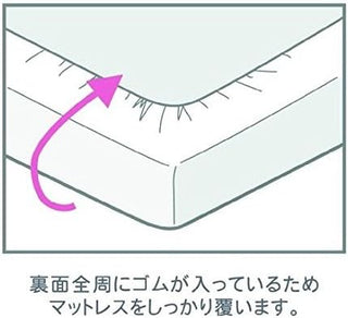 AVA.Home ボックスシーツ 綿100% 天竺ニット シングル～キング対応 防ダニ 抗菌 オールシーズン